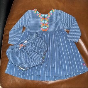 Pink Chicken Striped Blue Chambray Girls Dress with Floral Embroidery